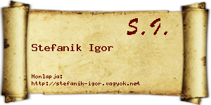 Stefanik Igor névjegykártya
