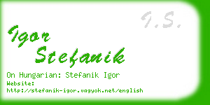 igor stefanik business card